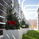 Rooftop Bottalico - Tra Policlinico E Stazione Διαμέρισμα *